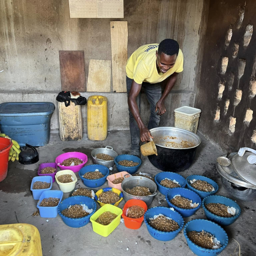 Congo Kimia Center Projects